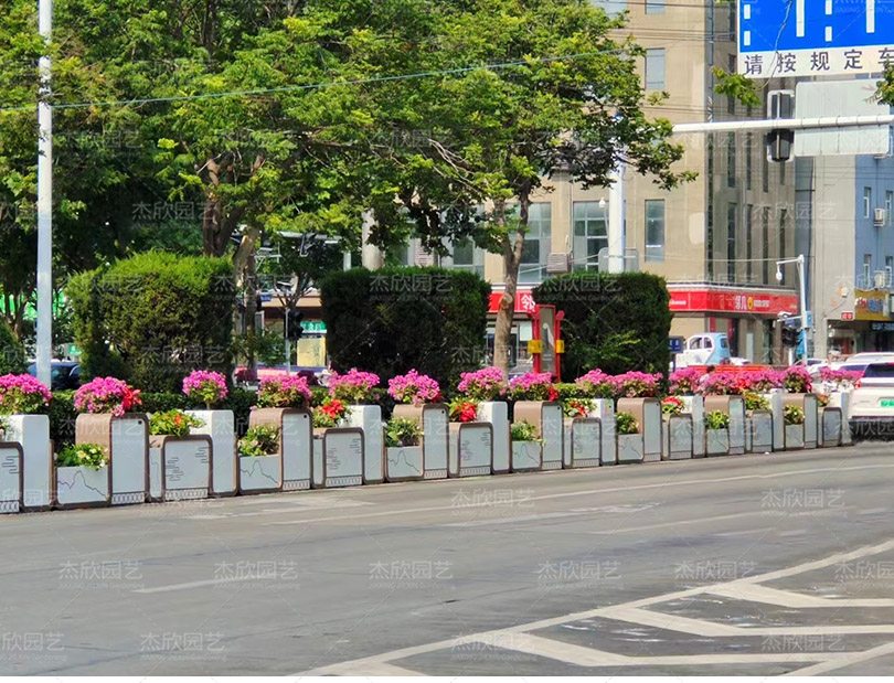 道路隔離帶花箱安徽案例
